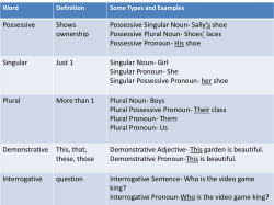 Possessive Shows ownership Possessive Singular Noun