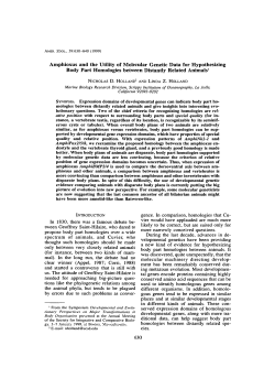 Amphioxus and the Utility of Molecular Genetic