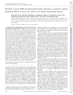 HL156A, a novel AMP-activated protein kinase activator, is