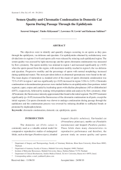 Semen Quality and Chromatin Condensation in