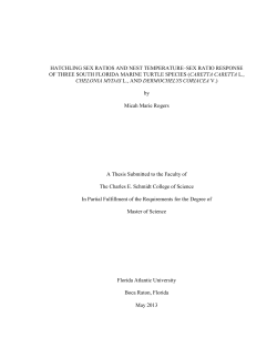 hatchling sex ratios and nest temperature&ndash;sex ratio response of