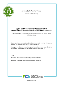 Cyto- and Genotoxicity Assessment of Manufactured