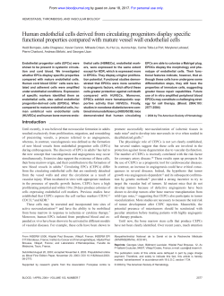 Human endothelial cells derived from circulating