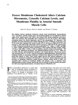 Excess Membrane Cholesterol Alters Calcium Movements, Cytosolic
