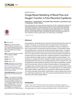 Image-Based Modeling of Blood Flow and Oxygen Transfer in Feto