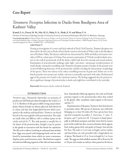 Tetrameres Fissispina Infection in Ducks from Bandipora Area of