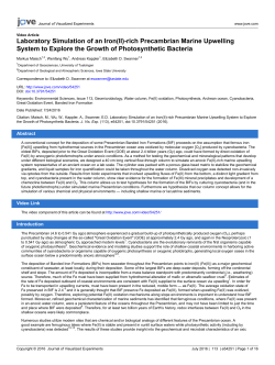 Laboratory Simulation of an Iron(II)