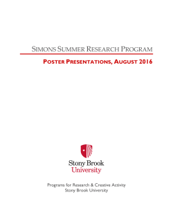 simons summer research program