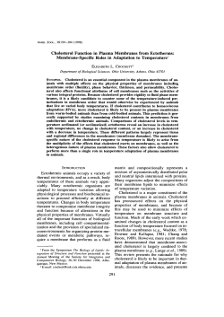 Cholesterol Function in Plasma Membranes from Ectotherms