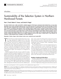 Sustainability of the Selection System in