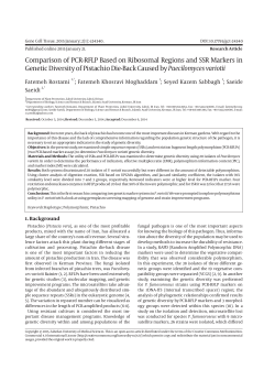 Comparison of PCR-RFLP Based on Ribosomal Regions and SSR