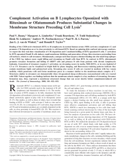 Complement Activation on B Lymphocytes Opsonized