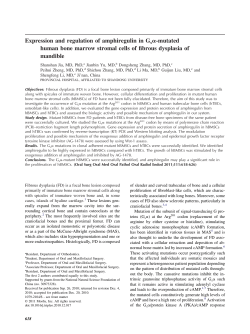 Expression and regulation of amphiregulin in Gs