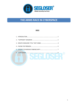 the arms race in cyberspace