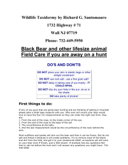 Field care Tips for bear and other life-size animals