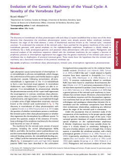 Evolution of the Genetic Machinery of the Visual