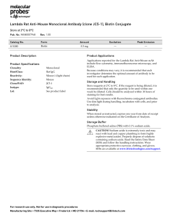 Lambda Rat Anti-Mouse Monoclonal Antibody