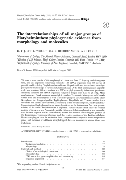 The interrelationships of all major groups of Platyhelminthes