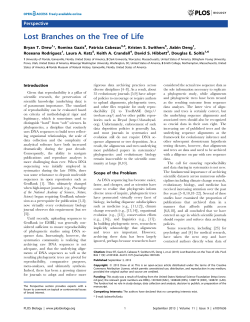 Lost Branches on the Tree of Life