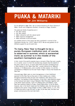 Puaka Matariki Essay - Puaka Matariki Dunedin