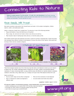 the Activity - Project Learning Tree