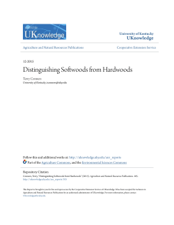 Distinguishing Softwoods from Hardwoods