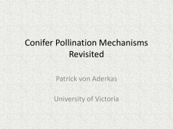 4. von Aderkas - Province of British Columbia