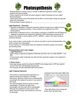 4- Note - WordPress.com