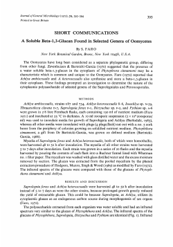 SHORT COMMUNICATIONS A Soluble Beta-1,3