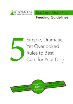 Simple, Dramatic, Yet Overlooked Rules to Best Care