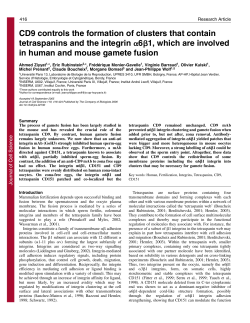 CD9 controls the formation of clusters that contain tetraspanins and