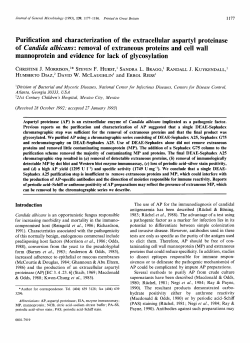 Purification and characterization of the extracellular