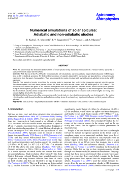 Numerical simulations of solar spicules: Adiabatic and non