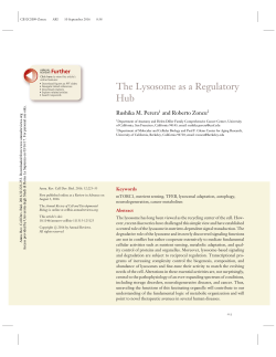 The Lysosome as a Regulatory Hub - e-learning