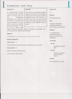 JJ - New Britain Youth Museum