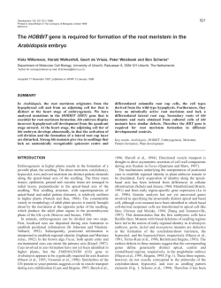 The HOBBIT gene is required for formation of the