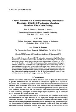 Uridylyl 3`,5` - Weizmann Institute of Science