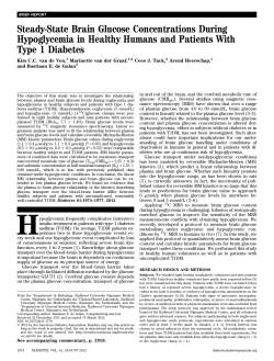 Steady-State Brain Glucose Concentrations During Hypoglycemia in