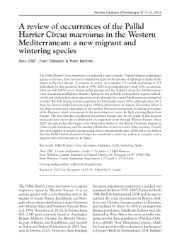 A review of occurrences of the Pallid Harrier Circus macrourus in the