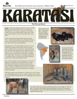 Karatasi spring 2012_II.indd - White Oak Conservation Center