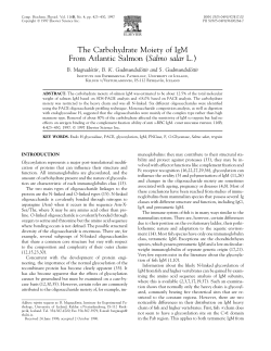The Carbohydrate Moiety of IgM From Atlantic Salmon