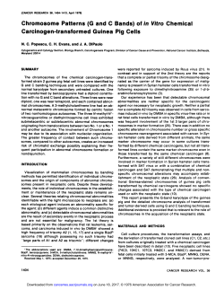 Chromosome Patterns (G and C Bands) of in