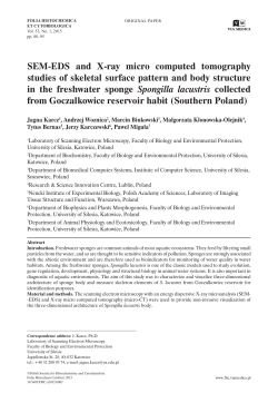 SEM-EDS and X-ray micro computed tomography studies of skeletal