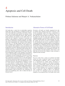 Apoptosis and Cell Death