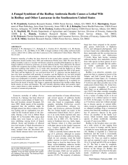 A Fungal Symbiont of the Redbay Ambrosia Beetle Causes a Lethal