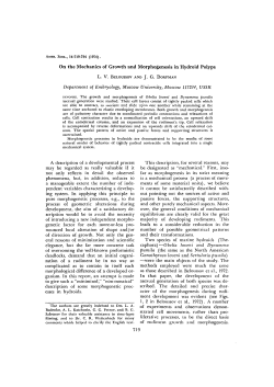 On the Mechanics of Growth and Morphogenesis in Hydroid Polyps