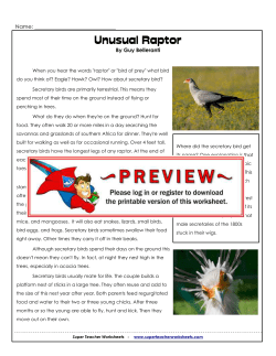 Unusual Raptor - Super Teacher Worksheets