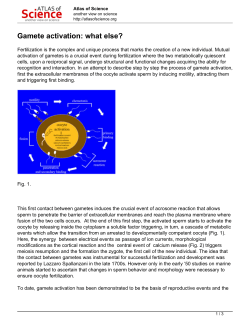 Gamete activation: what else?