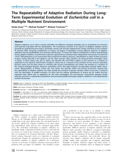 The Repeatability of Adaptive Radiation During Long- Term