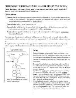 Gamete Fusion - davis.k12.ut.us